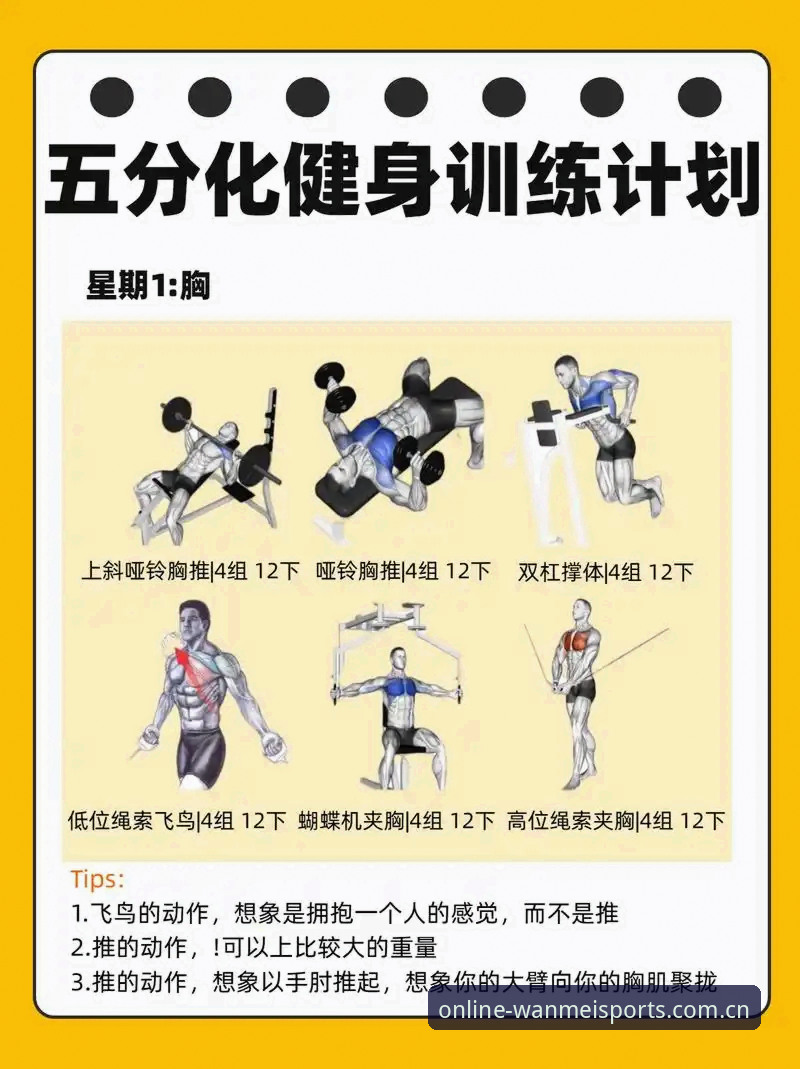 完美体育使用教程攻略：6个关键步骤让你快速掌握平台核心功能